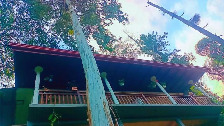 Ella Hillsite View Hotel Ngoại thất bức ảnh