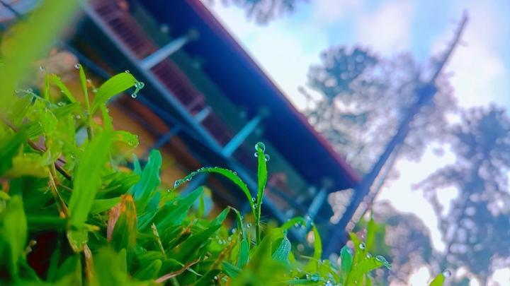 Ella Hillsite View Hotel Ngoại thất bức ảnh