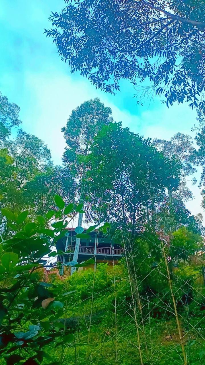 Ella Hillsite View Hotel Ngoại thất bức ảnh
